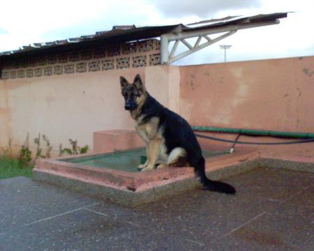 FABI